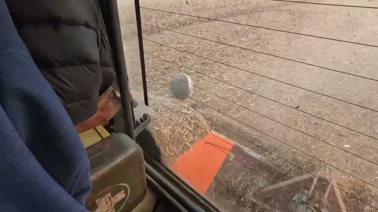 Cirok tarló zúzás //Zetor 16245//