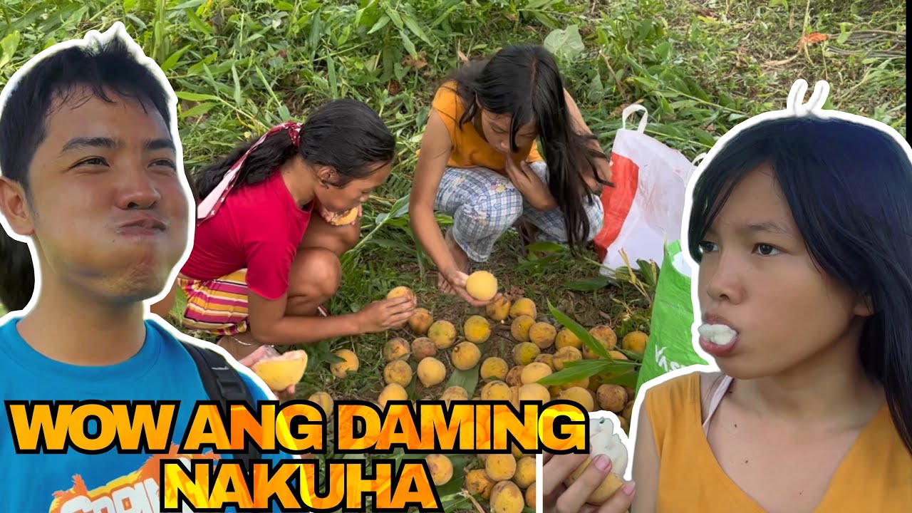 NANGUHA KAMI NG SANTOL NILA HANNAH