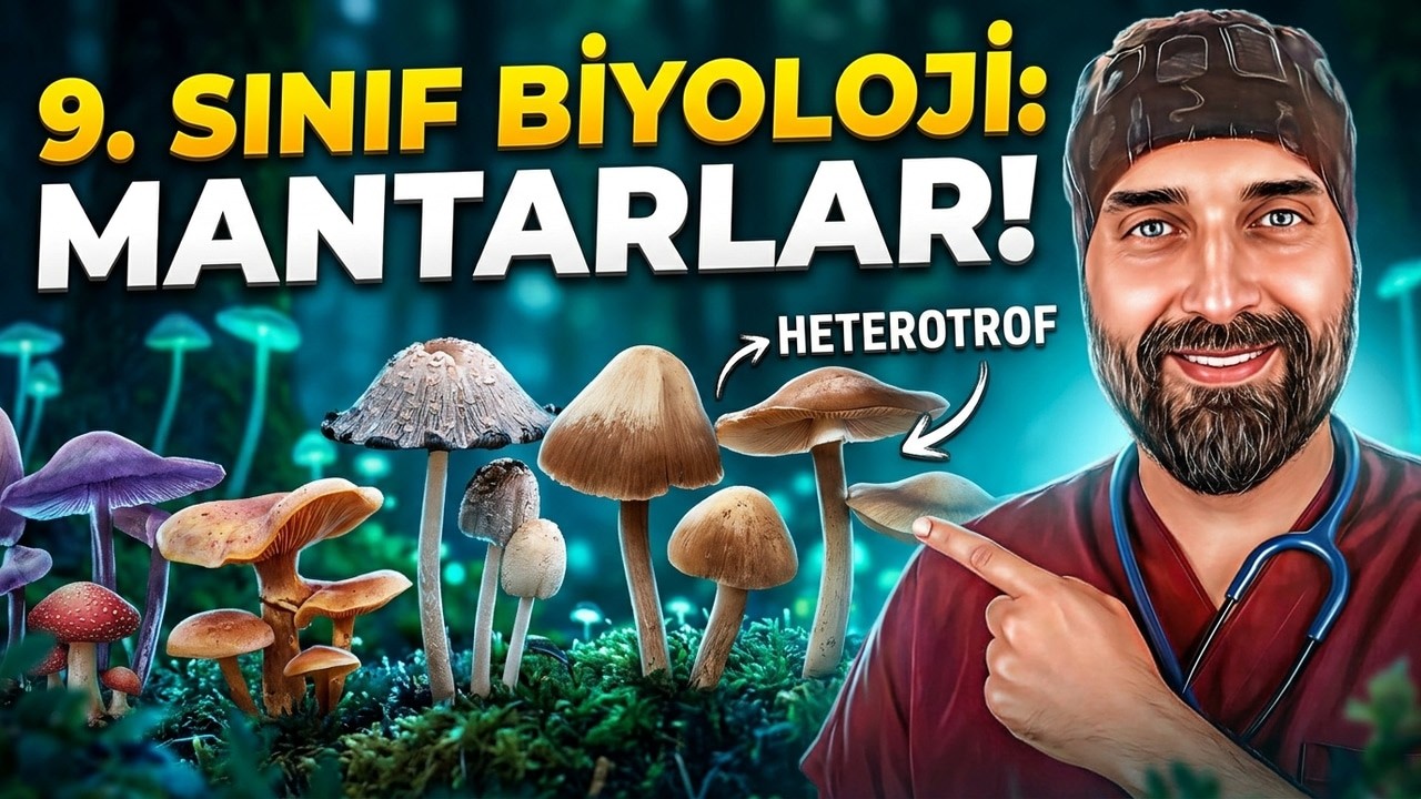 11. Ders: Mantar | Dr. Biyoloji 9. Sınıf Yeni Müfredat