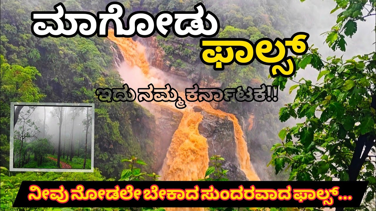ಮಾಗೋಡು ಫಾಲ್ಸ್. ನೀವು ನೋಡಲೇ ಬೇಕಾದ ಸುಂದರವಾದ ಫಾಲ್ಸ್....ಇದು ನಮ್ಮ ಕರ್ನಾಟಕ!! | just travel kannadiga