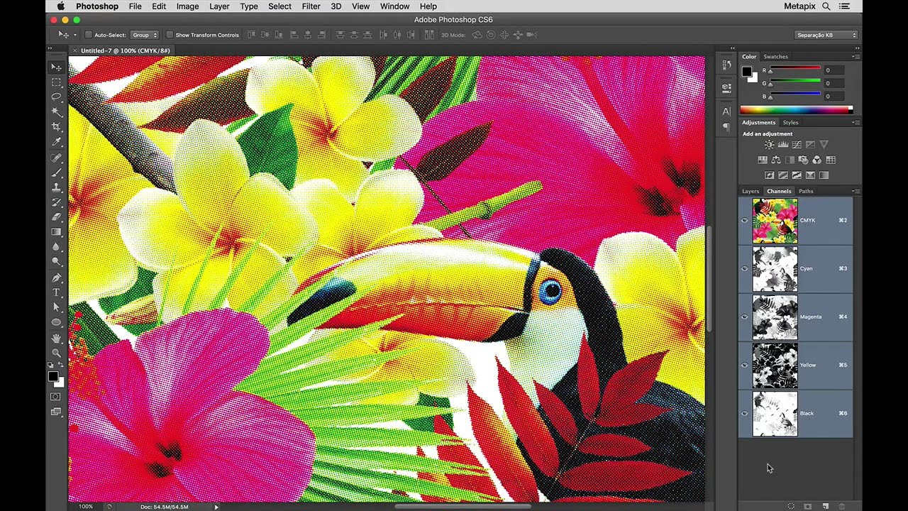 Estampa Tropical com Quadricromia
