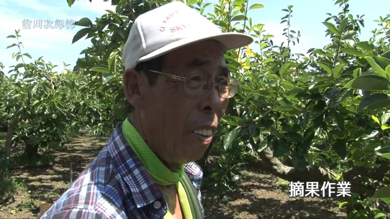 前川次郎柿