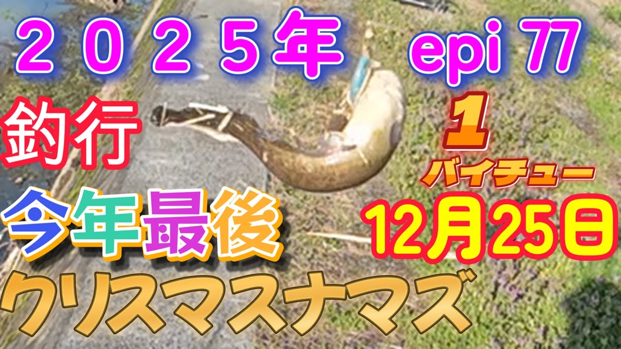 12月25日のナマズ釣り🎣今年最後の釣行😢寒く厳しい😱1バイチュー😁
