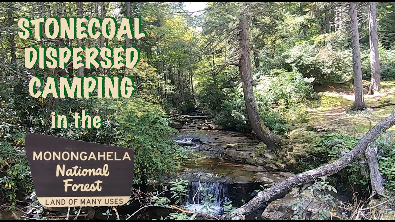 Monongahela National Forest Stonecoal Dispersed Camping - RV Camping