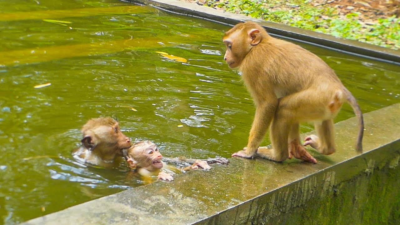 Leo wonders why Brady wrestling Lily in the water & Libby joins hands to protect Rainbow from Obie
