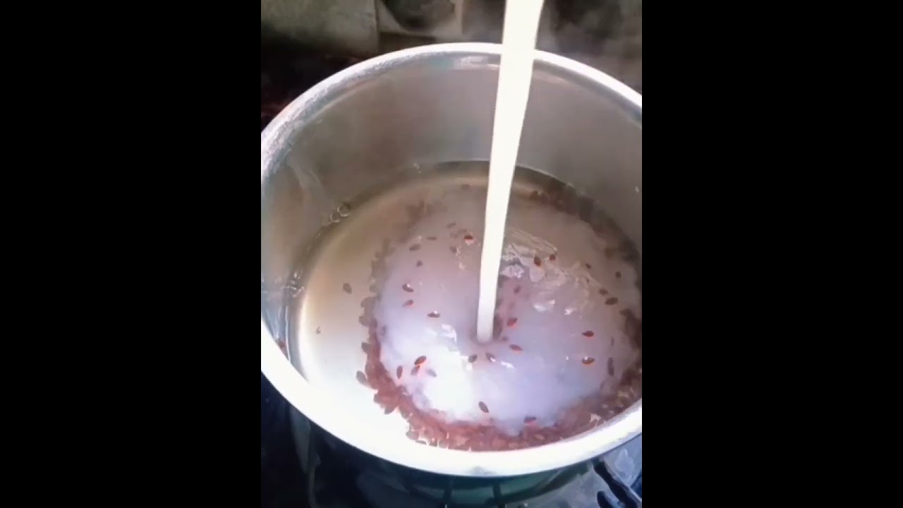 Natural keratin treatment at home |frizz-free smooth & healthy hair|flaxseed |rice water |