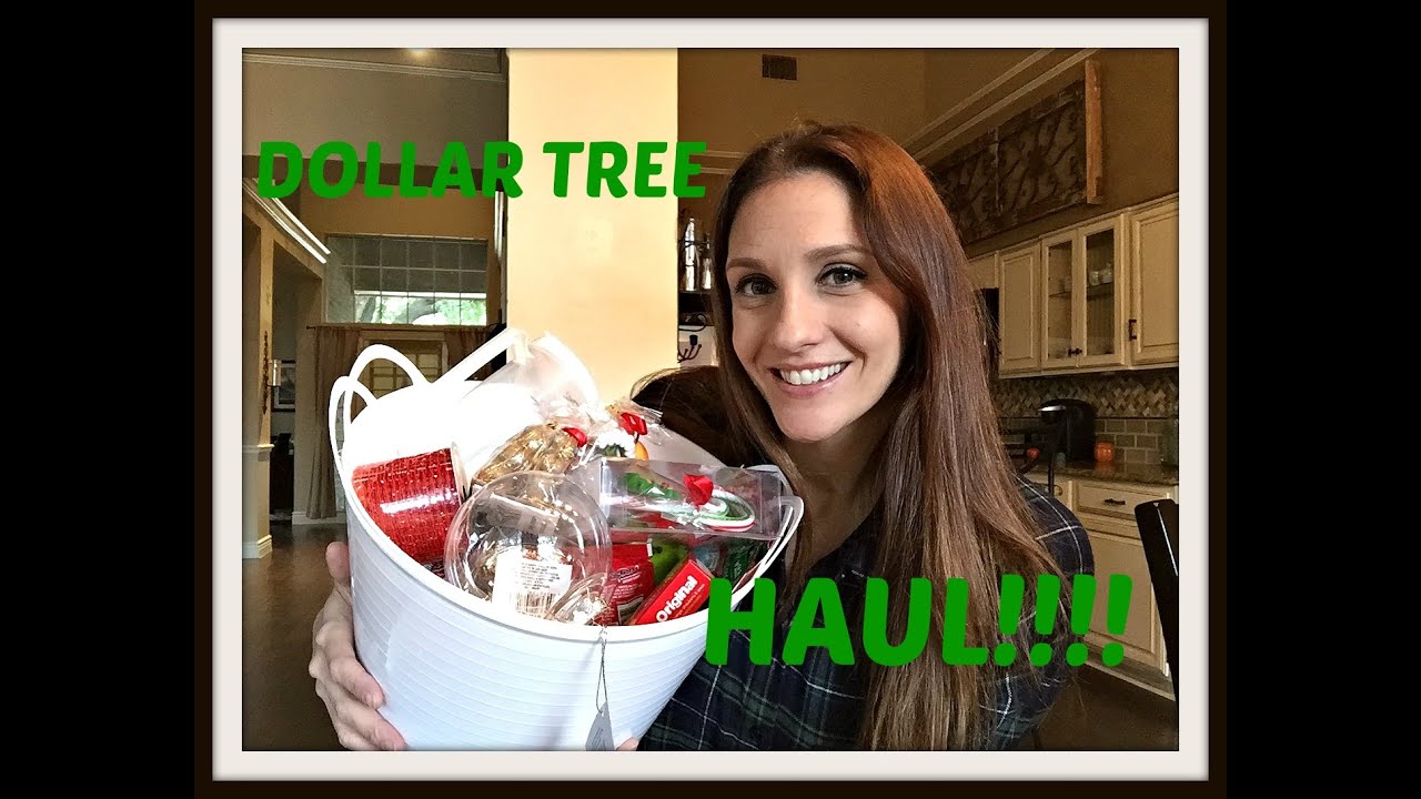 DOLLAR TREE HAUL: November 2015 ORGANIZATION + MORE!!  CHATTY