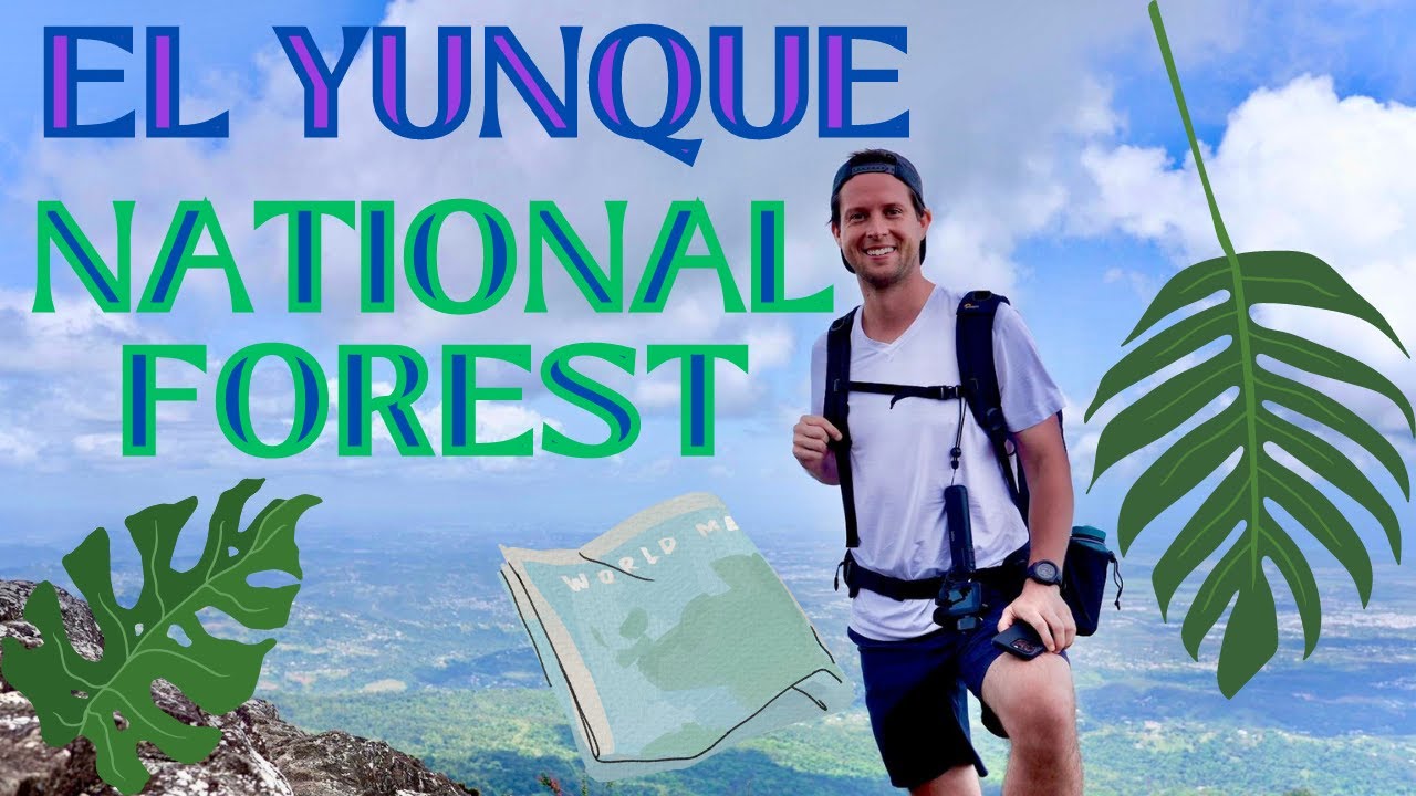 PUERTO'S RICO'S YELLOWSTONE | Exploring El Yunque National Forest + Why Tickets Are Required 🥾 🏞️ 🎒
