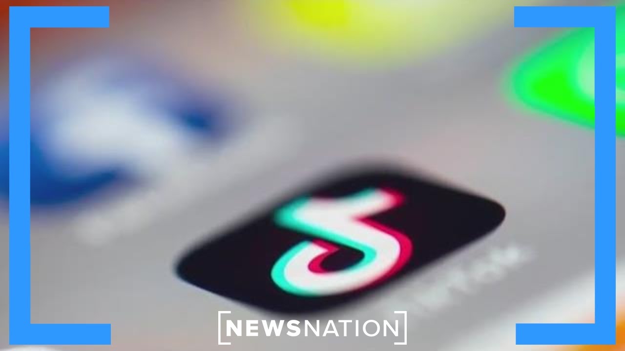 Experiment: Is TikTok safe for children to use ? | Morning in America