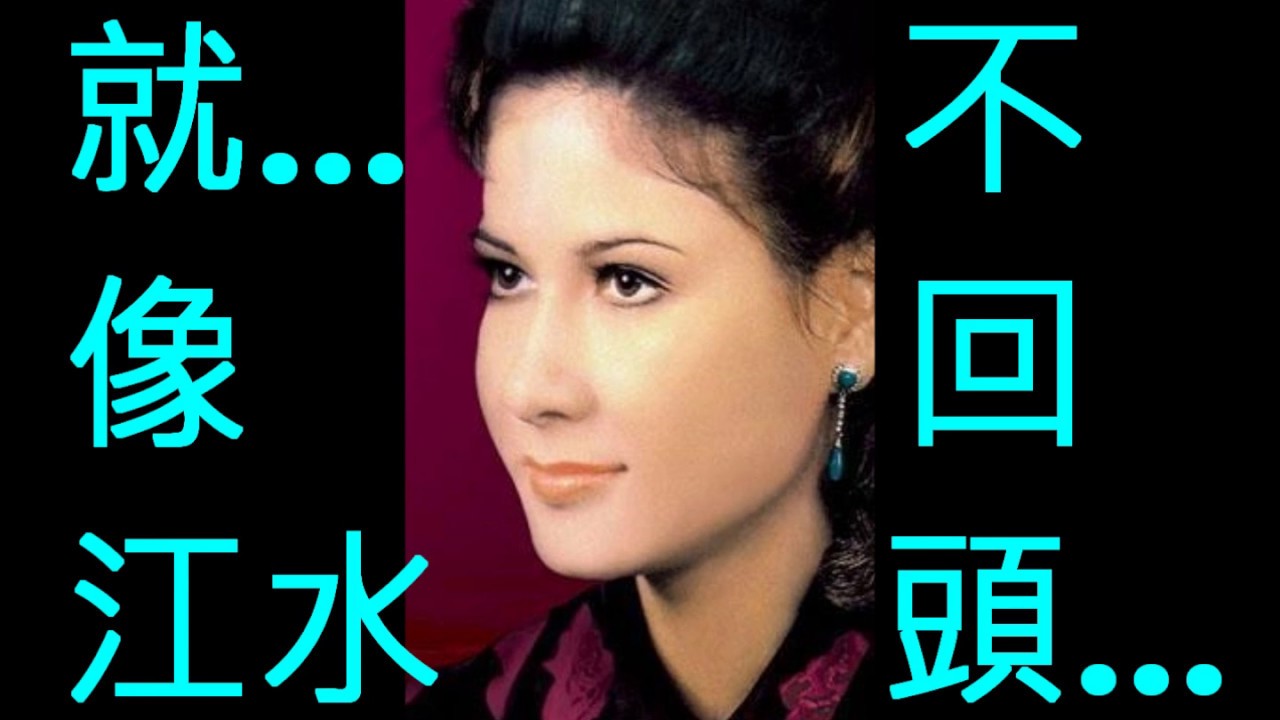 NO:229 誓言- 甄妮 (國語) (娛己娛人卡拉OK) - 特大字幕MV