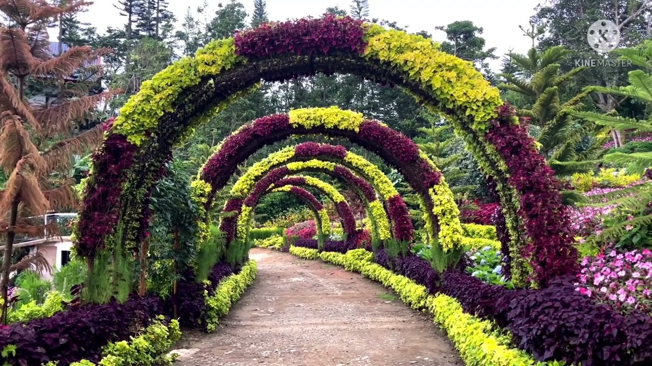 BEST PLACE TO VISIT IN CEBU, PHILIPPINES | SIMALA SHRINE, SIRAO GARDEN, BUWAKAN NI ALEJANDRA