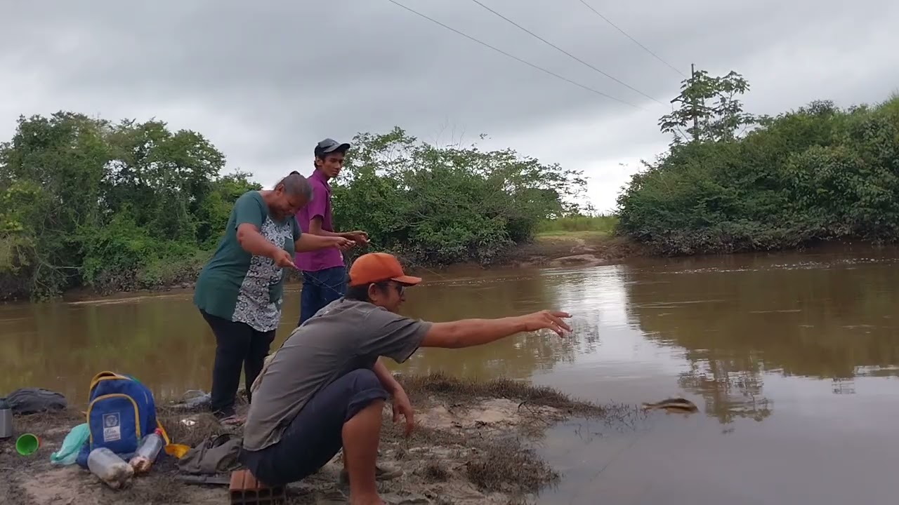 Pescando no rio carapanã  peixe  e  quati