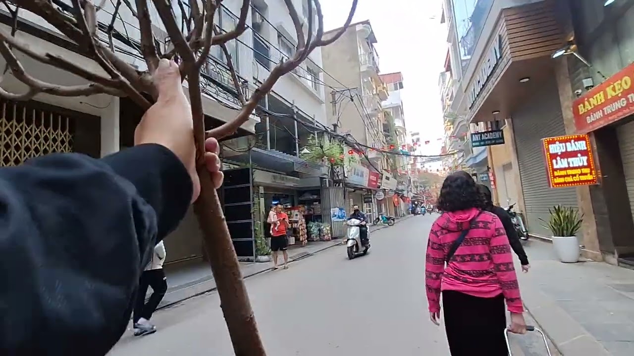 Tết đã về