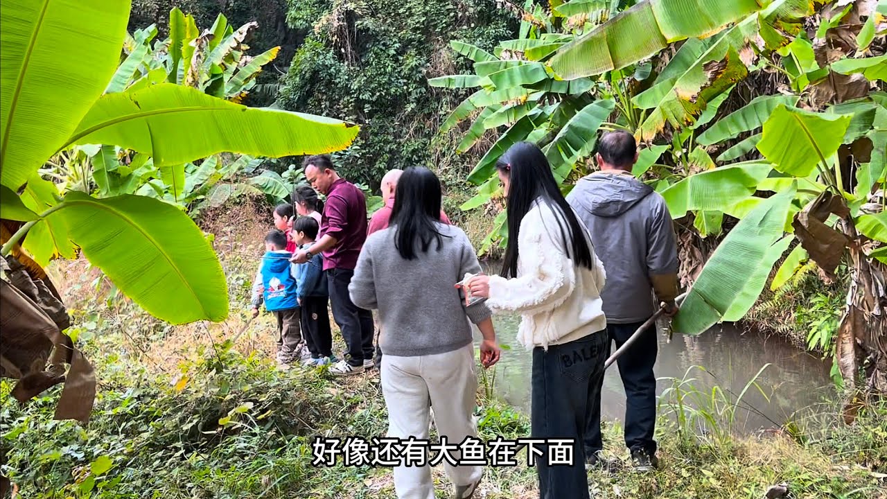 在山顶意外发现一个废弃鱼塘放了1000元鱼苗，一年后去网鱼惊喜一个接一个，看看是赚是赔？