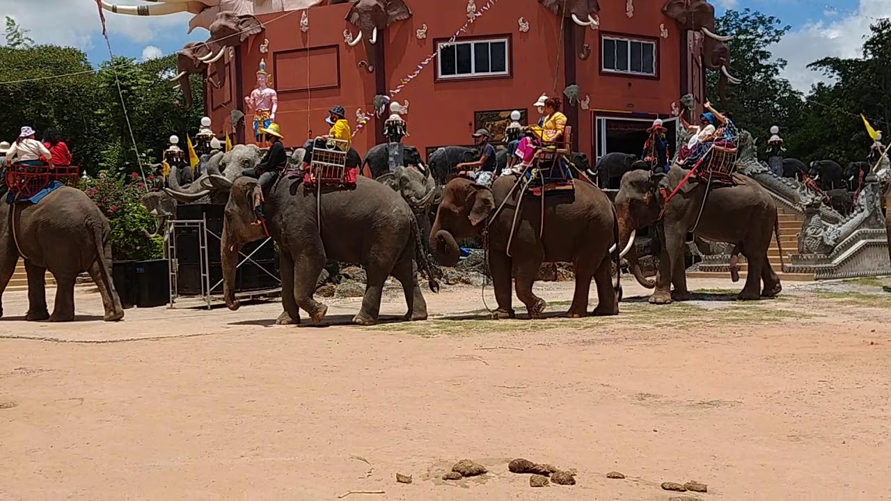 ขบวนแห่เทียนพรรษา ณ ที่วัดป่าอาเจียง