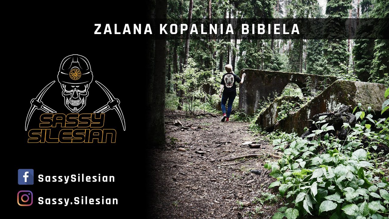 ZALANA KOPALNIA BIBIELA - W SERCU GĘSTEGO LASU [Miasteczko Śląskie]