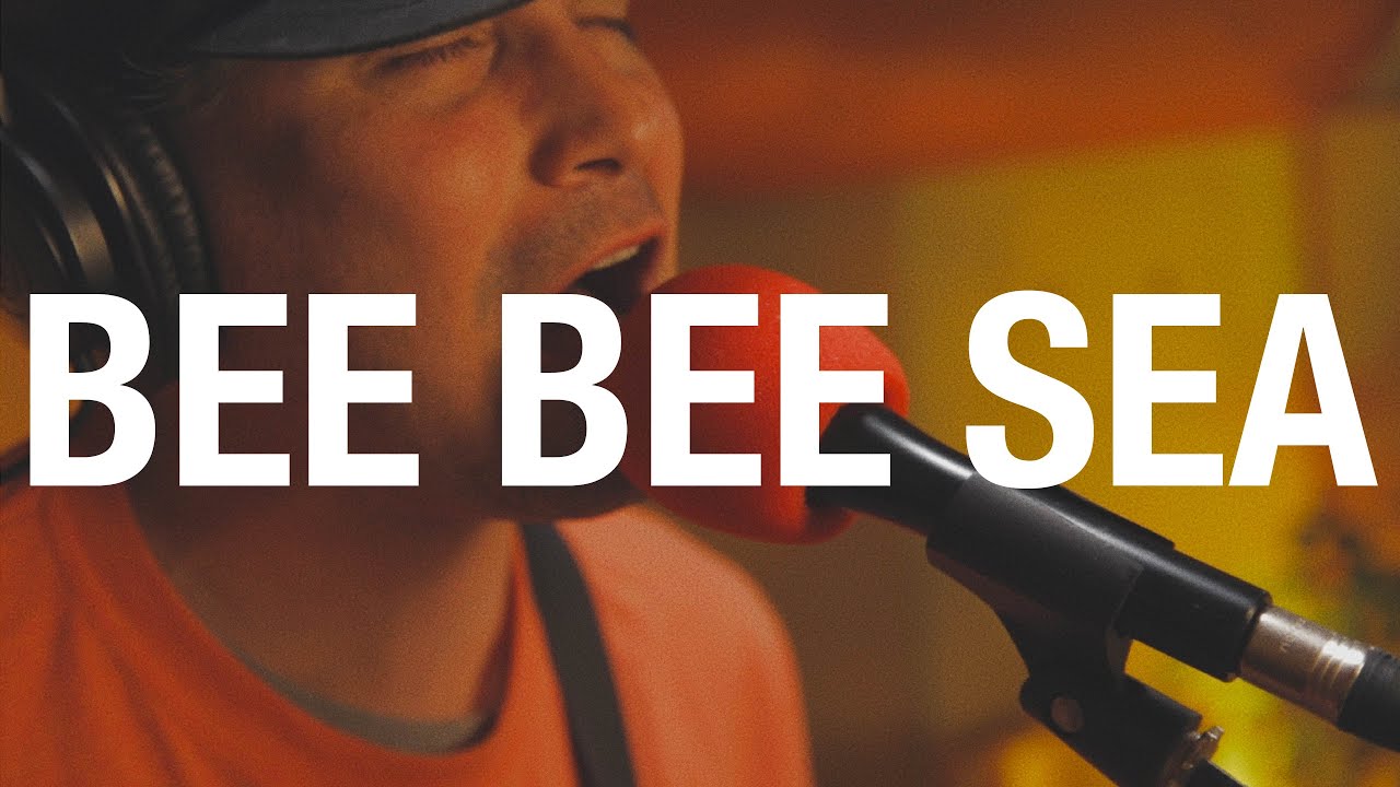 Bee Bee Sea (Castel Goffredo, IT) - Live On Tour at Act Cool