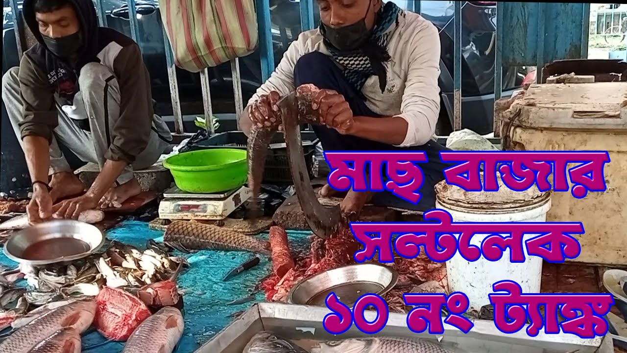 Fish Market Salt Lake Tank No 10