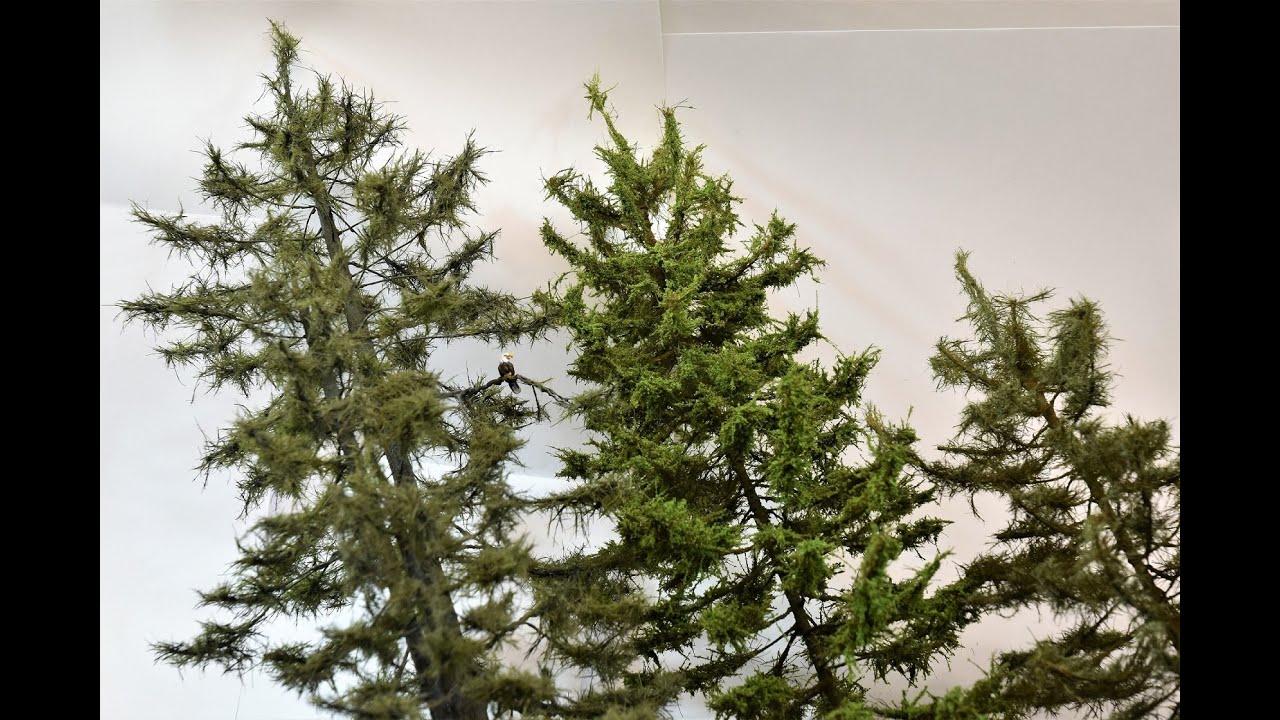 Modeling The Ultimate Model Tree with Stem Wire | The Evergreen Conifer | Boomer Diorama