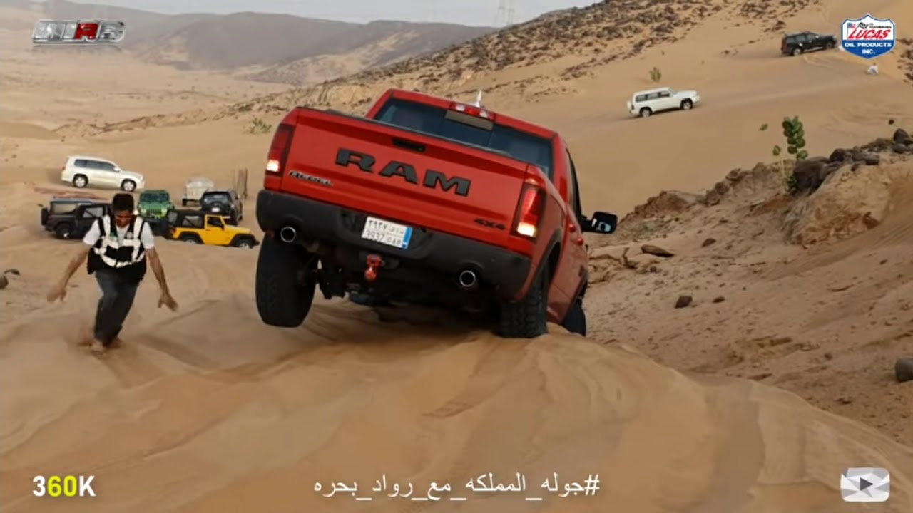دفلوك الرام ريبل