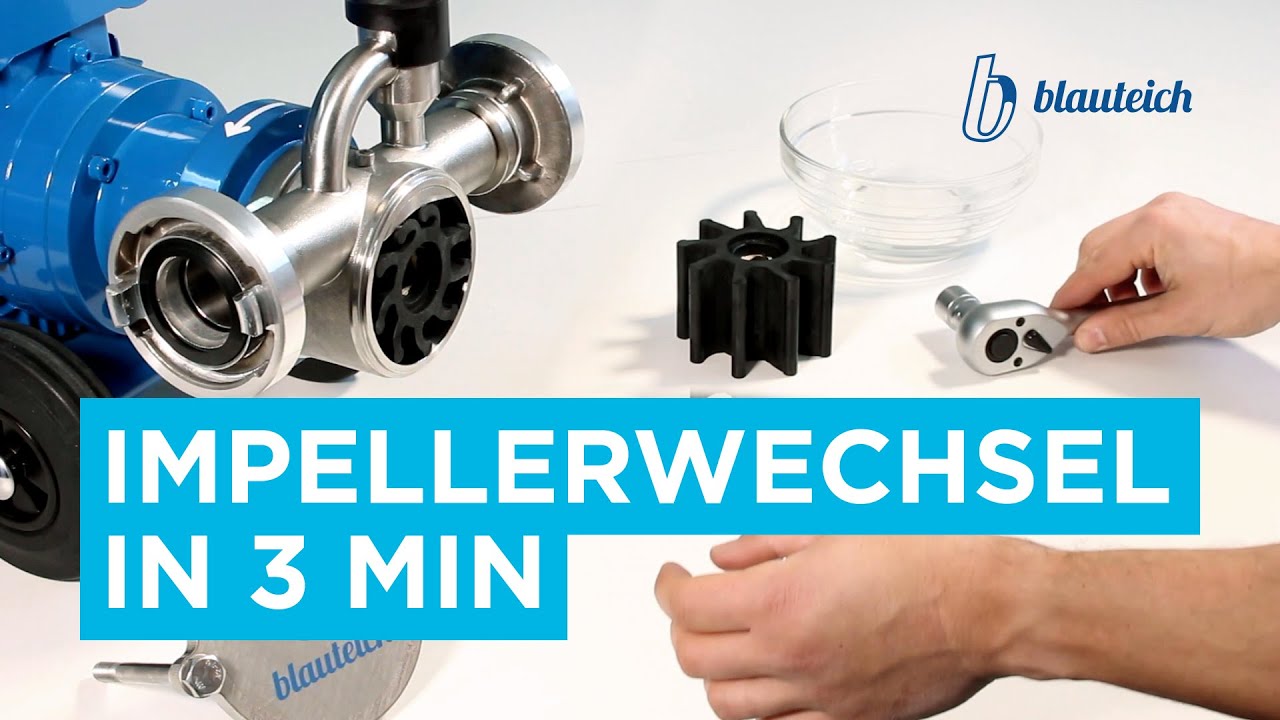 Impellerwechsel in 3 min | Schritt-für-Schritt-Anleitung | Tipps & Tricks | Blauteich