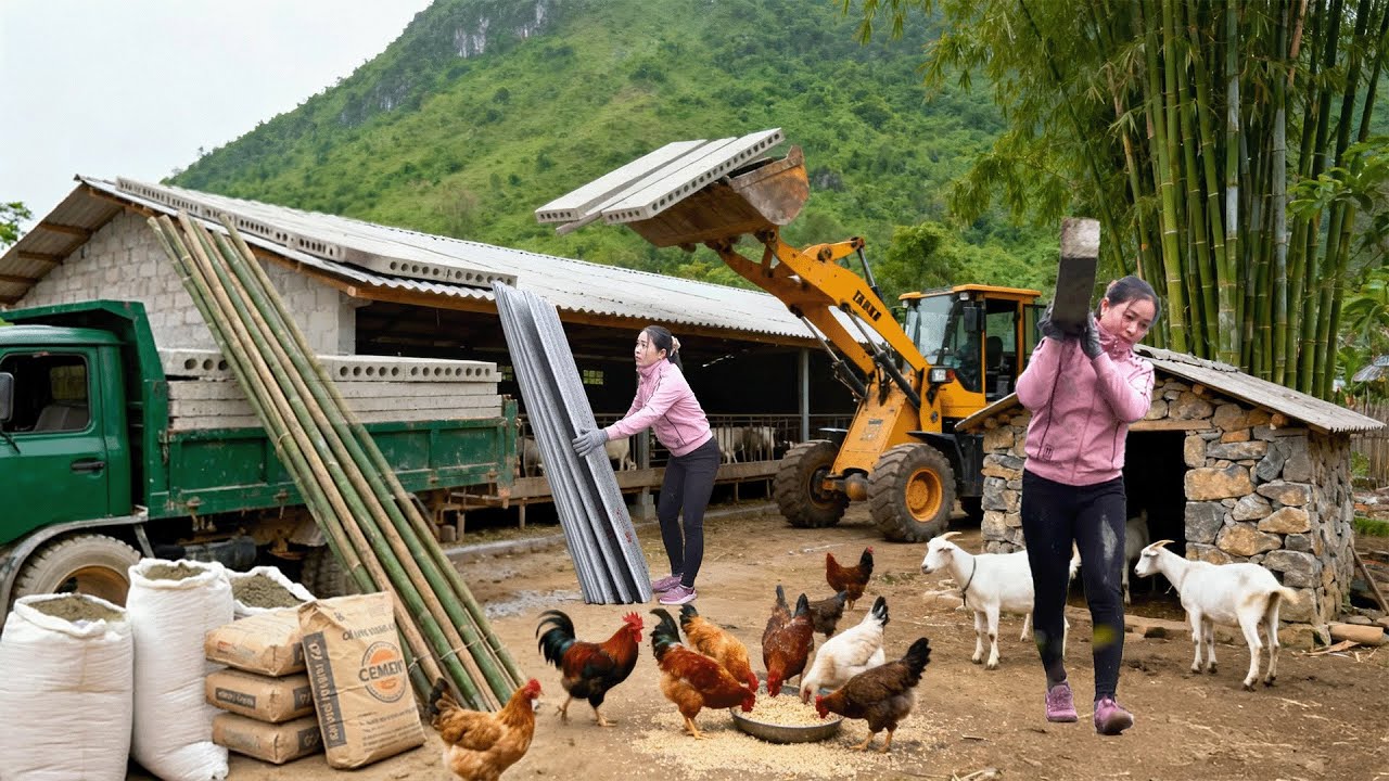 Use Trucks to Transport 100+ Materials for Pig Pen Repairs & Farm Renovation | Tieu Hue Daily