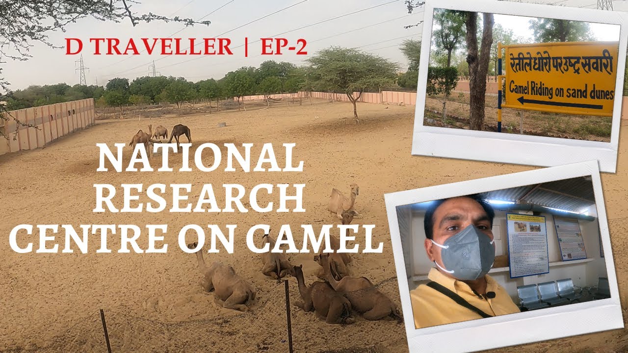 Visit to NRCC || Bikaner Trip || EP-2 || D Traveller