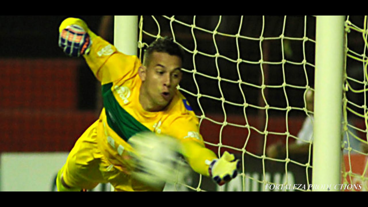 Danilo | Chapecoense 2015-16 | Best Saves Compilation | HD 720p
