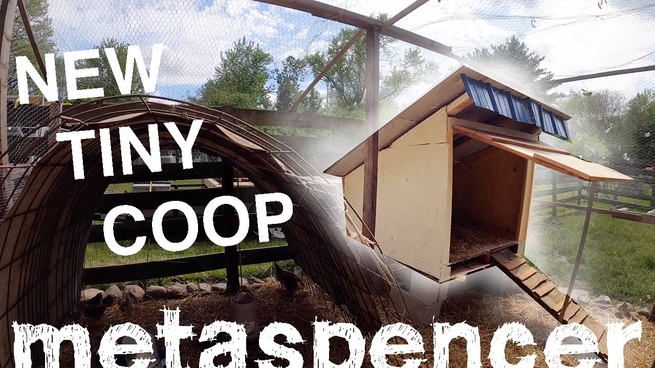 Tiny Chicken Coop & Building Rant