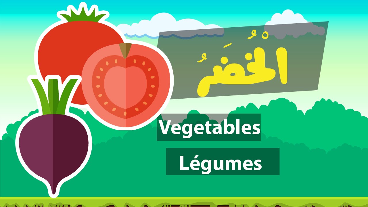 Learn arabic (vegetables) – Apprendre l’arabe (Les légumes) – مفردات الخضر باللغة العربية