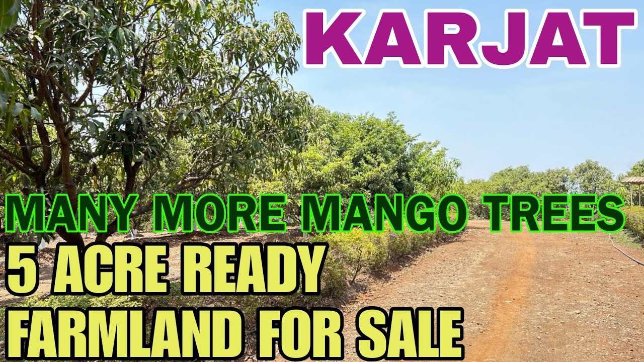 5 Acre Mountain View Farm land for sale in Karjat.#312 Karjat Paradise📱8432423999