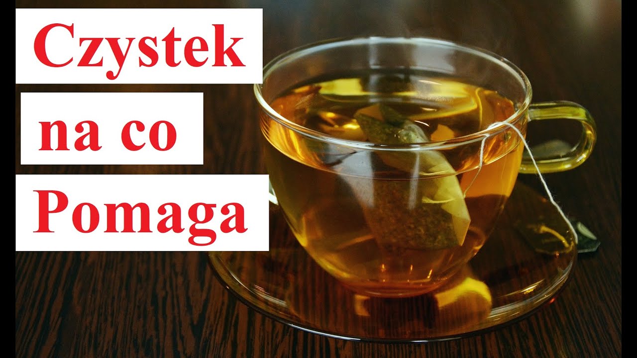 CZYSTEK - na co Pomaga czystek