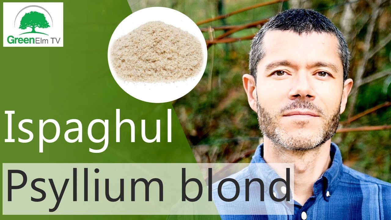 Ispaghul, Psyllium blond - Propriétés, Conseils, Usages [2018]