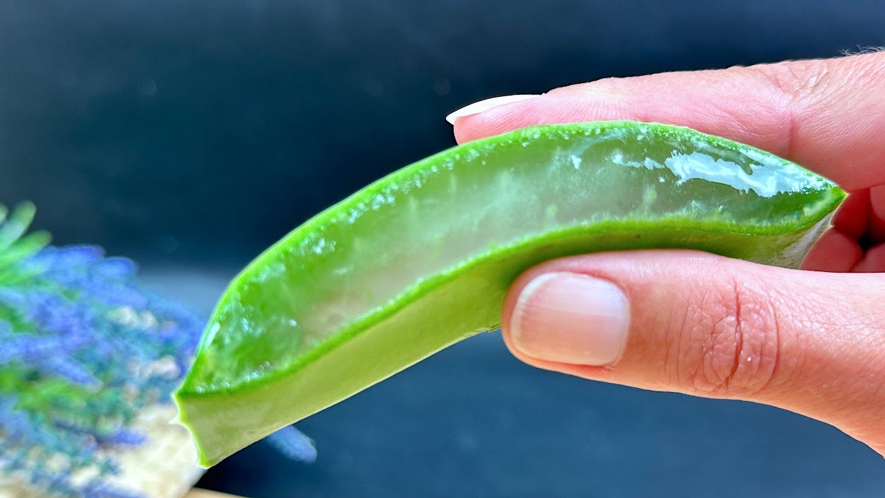 Haare wachsen wie verrückt und fallen nicht aus! Das ist das beste Mittel! Aloe Vera für haare!