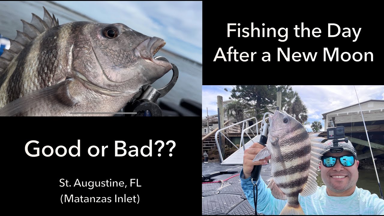Are New Moons Good for Fishing? (Matanzas Inlet in South St. Augustine, FL)