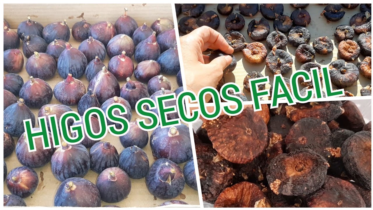 COMO DESHIDRATAR LOS HIGOS EN CASA//HIGOS SECOS MUY FACIL//@lacocinademariaycurro