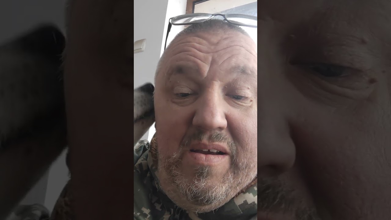 Fünf neue Akita Freunde