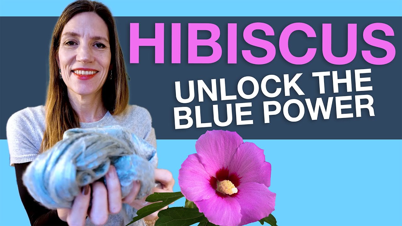 🌺 Dyeing Silk Fiber | Episode 1: Will it turn Blue? 🔵 Stitch de la Suisse🇨🇭