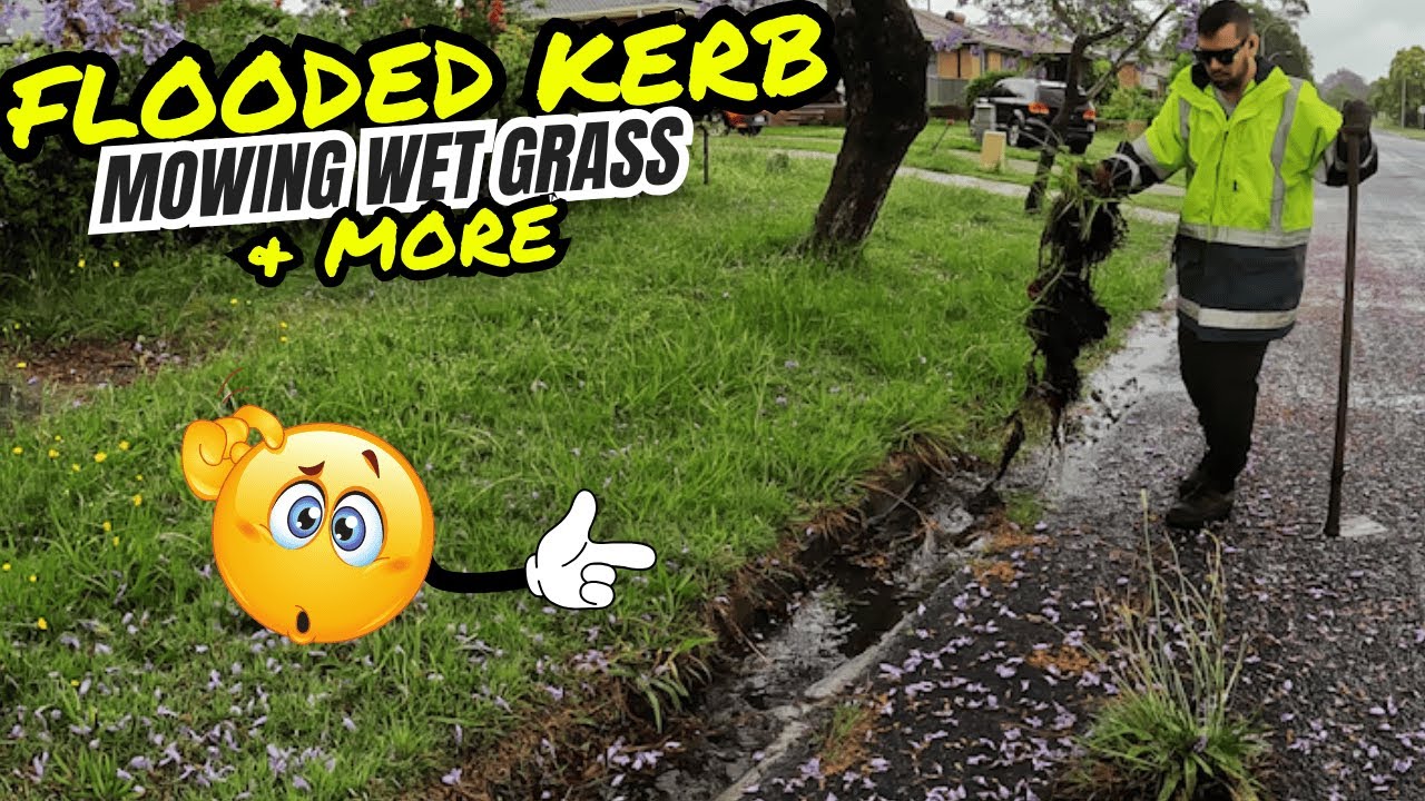 From Swamp to Sanctuary: Must Watch Yard Transformation