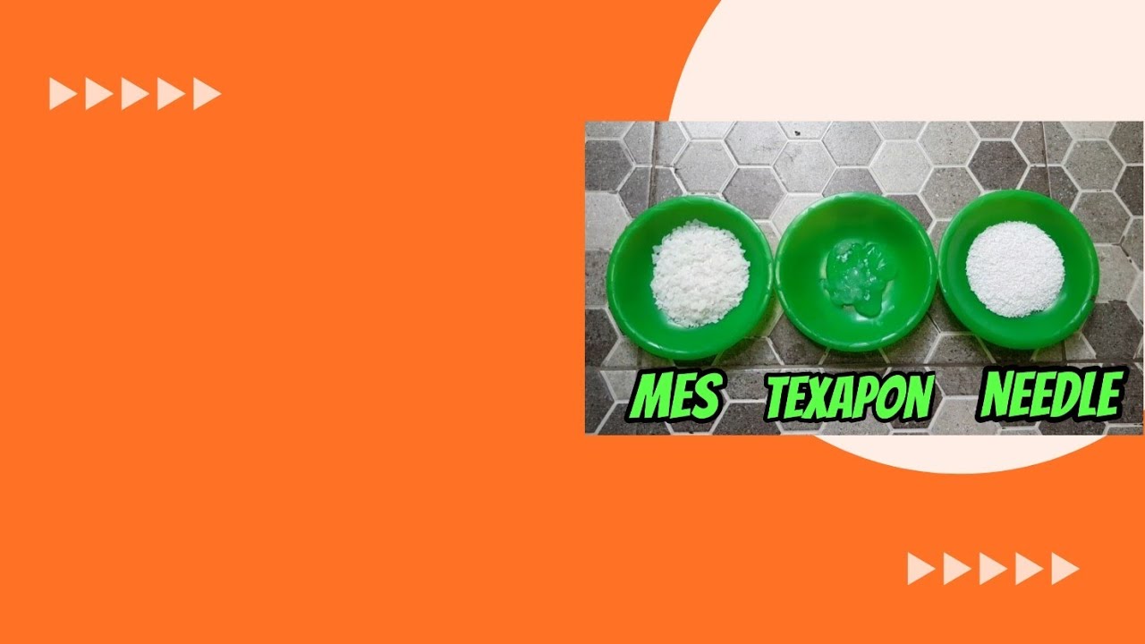 Perbandingan Surfaktan Mes, Texapon dan Needle