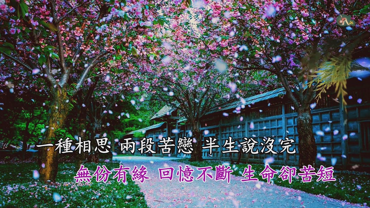 似是故人來 | 梅艷芳 | 粵語 | 高清 | 伴唱版本 | 卡拉OK | KARAOKE | KTV