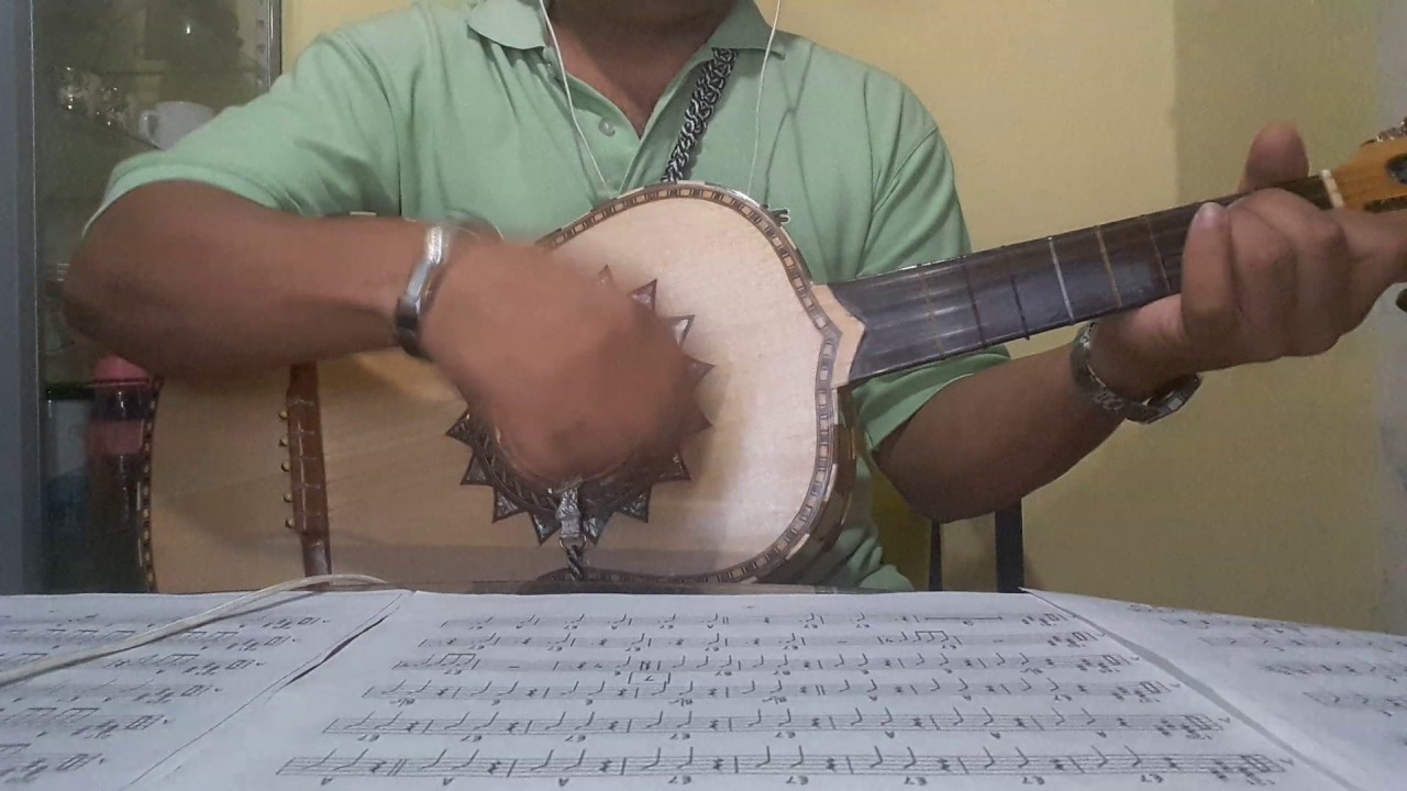 Vihuela, las bodas de Luis Alonso.