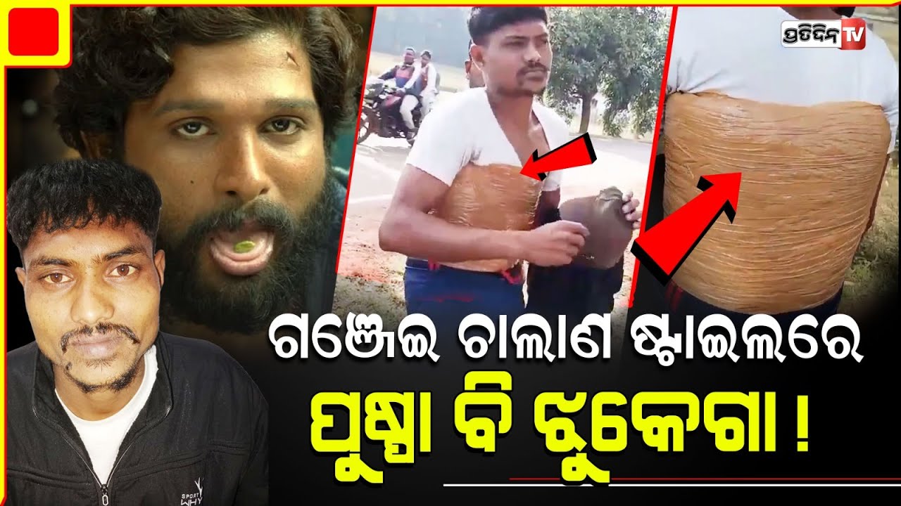 ଛାତିରେ ଗଞ୍ଜେଇ ଚାଲାଣ ଷ୍ଟାଇଲରେ ପୁଷ୍ପା ବି ଝୁକେଗା! Koraput Man unique Ganja peddling style stuns cops.