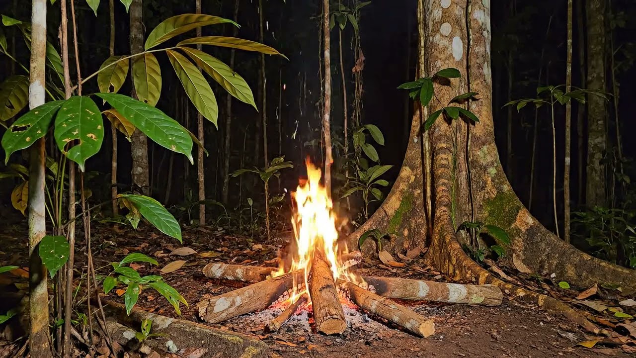 Tropical Campfire Sounds for Sleeping 1 Hours ASMR