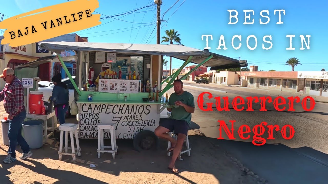 Baja Vanlife - Best Tacos and Food in Guerrero Negro, Birria, Fish and Ceviche