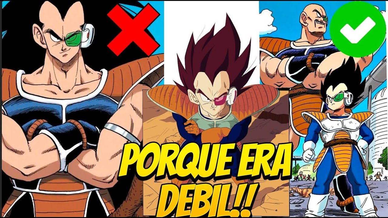 Porque RADITZ era mas DEBIL que Vegeta y Napa