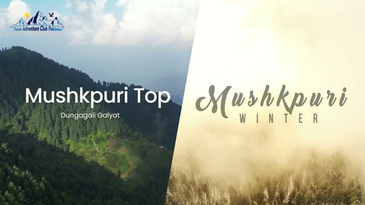 Mushkpuri Top | Hiking with PACE | Mushkpuri Donga Gali Track 2024 | Pace Adventure Club Pakistan