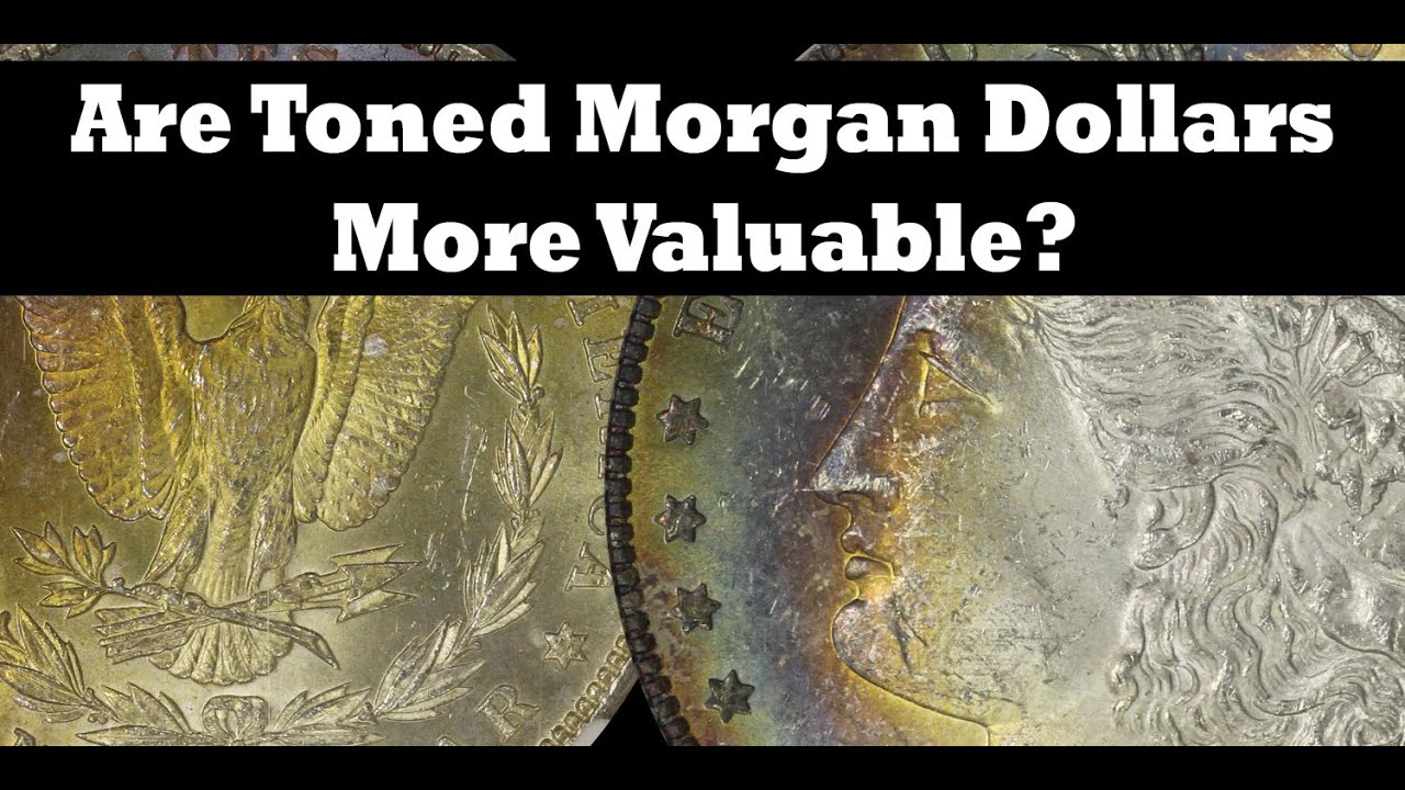 Are Toned Morgan Dollars Worth More Money? Here's 15 Toners