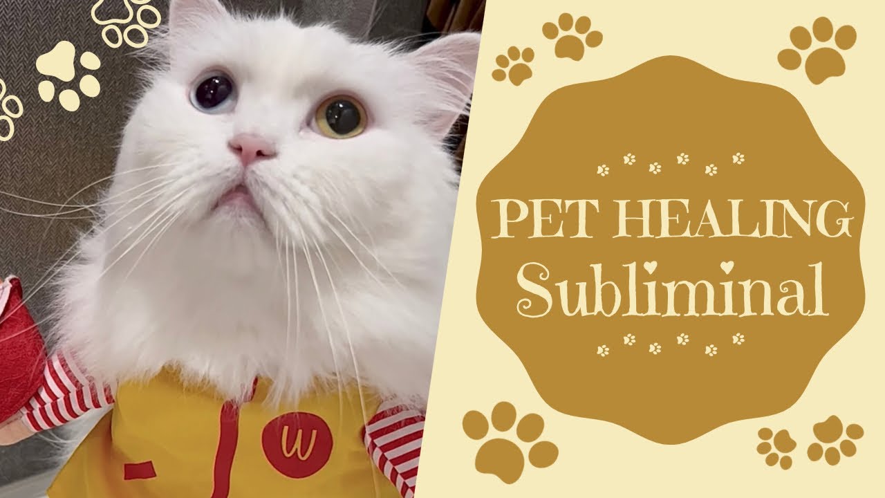 Powerful❣️pet healing subliminal with healing frequency | very fast results❣️
