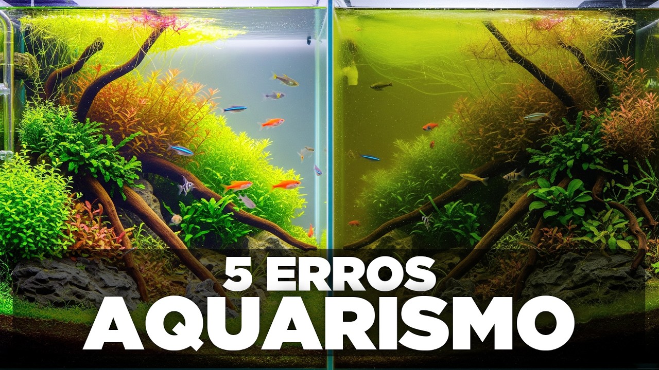 5 ERROS QUE VOCÊ COMETE NO AQUÁRIO PLANTADO!